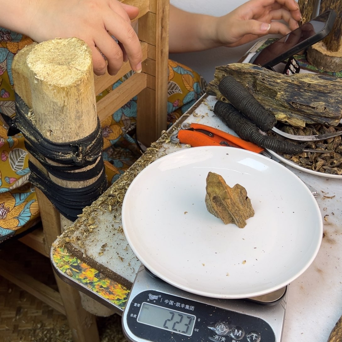 线香奇楠虫漏香22克