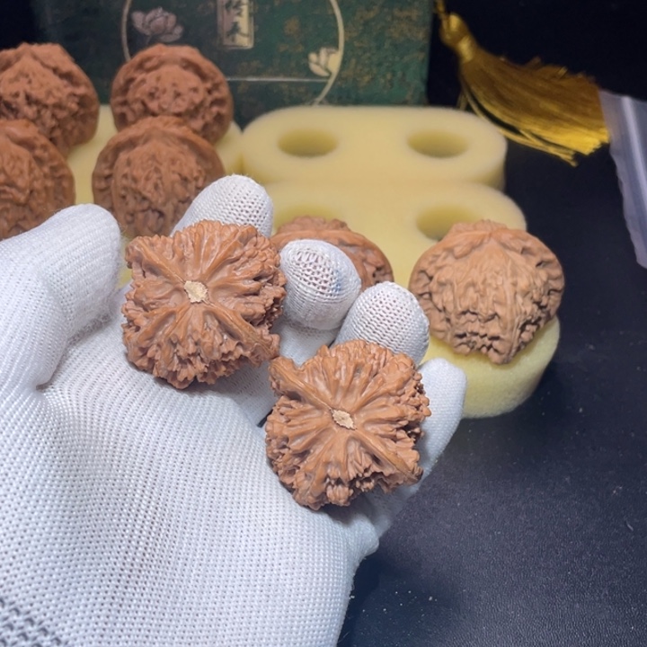 核桃42满天星狮子头