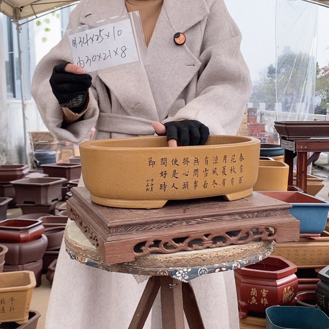 紫砂花盆紫砂花盆