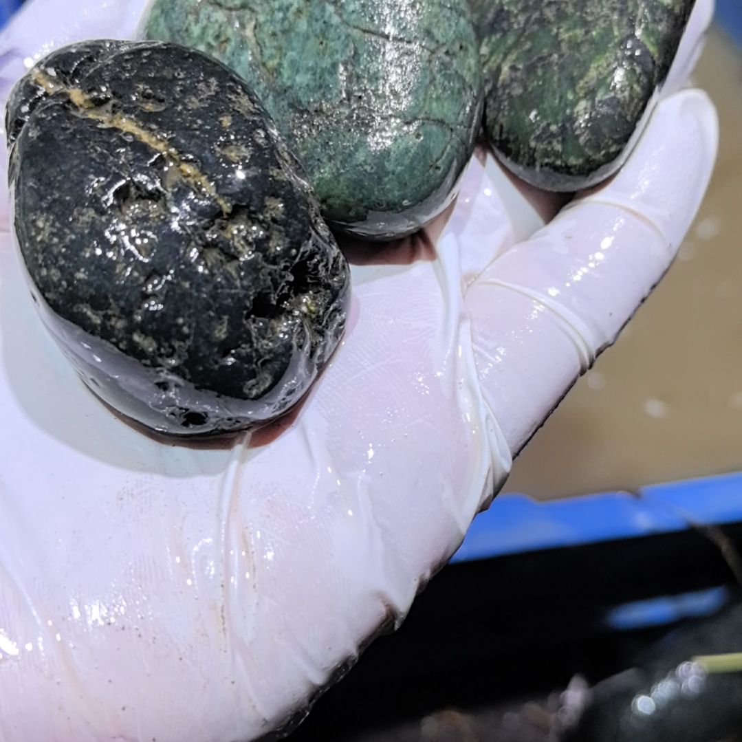 小***雨藏玉药王石原石4个