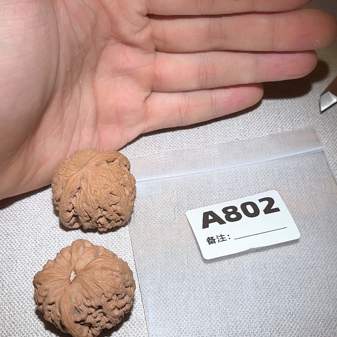 文玩核桃吊坠密纹802