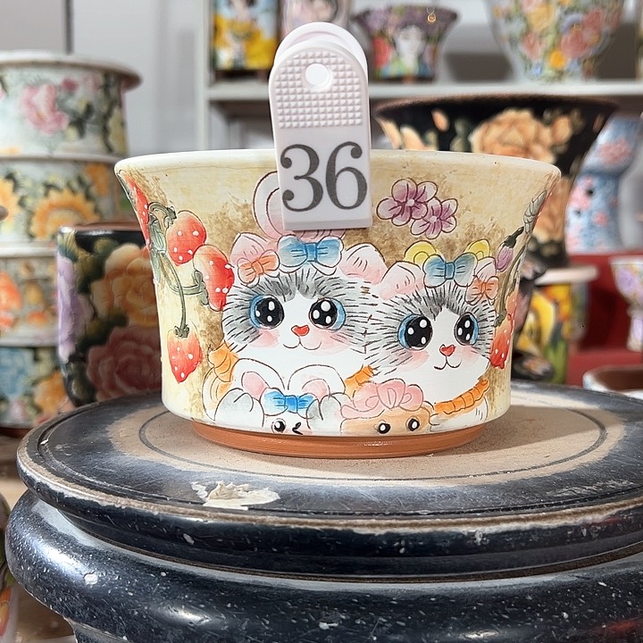 满39.9包邮 不满足不发哈