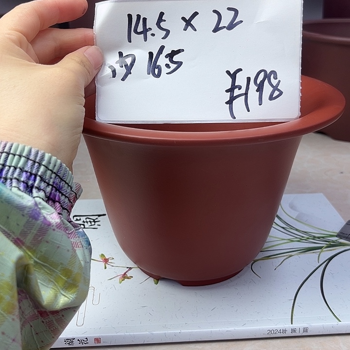 蓝***雀紫砂花盆88888888888888888