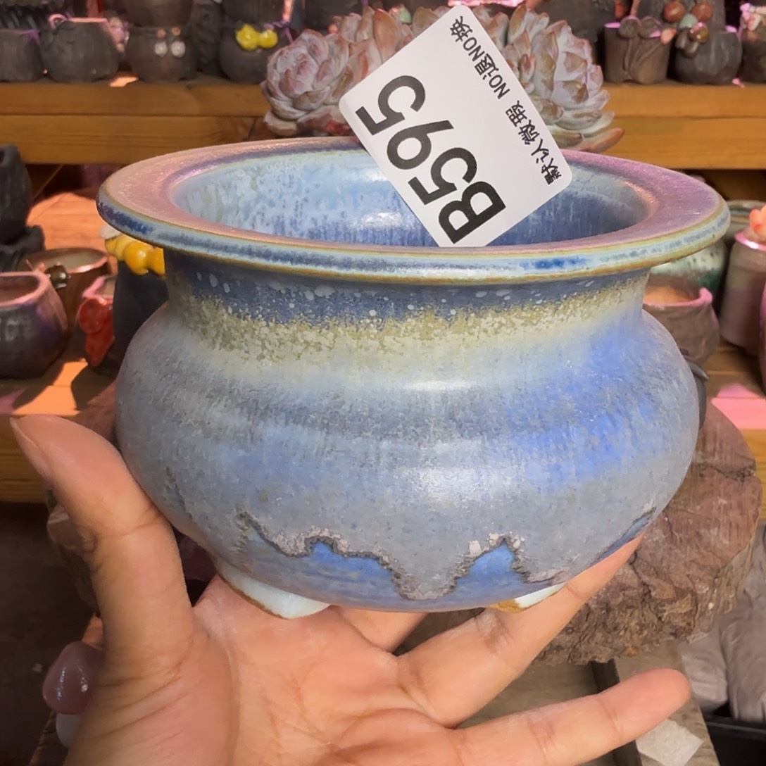 重庆小燕子欢迎大家595