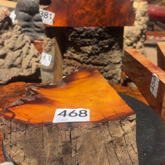 大果紫檀（缅甸花梨）