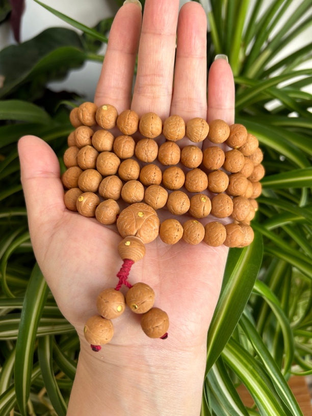 尼泊尔单仓红皮小11.5mm镶嵌铜钉108加4