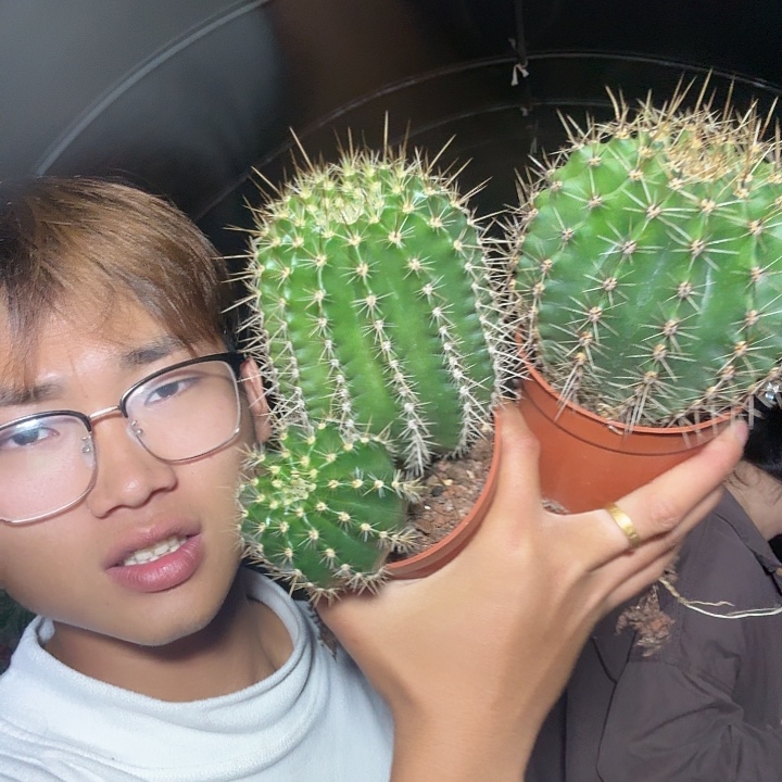 *****无花朵 彩草哈哈哈哈哈哈哈哈