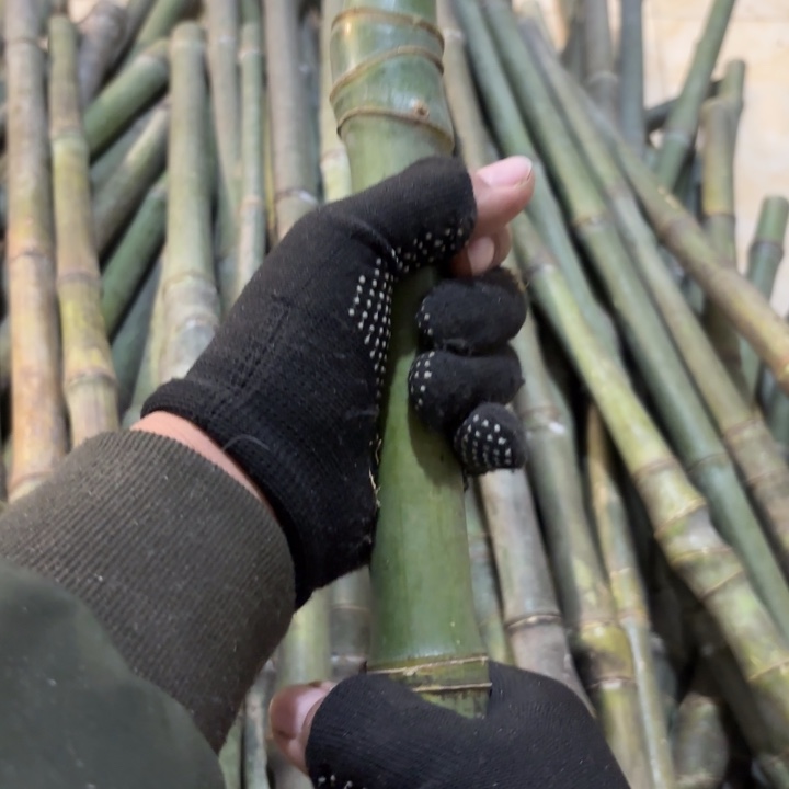 蓝***鹰实心竹竹竹竹竹竹竹竹竹竹竹竹