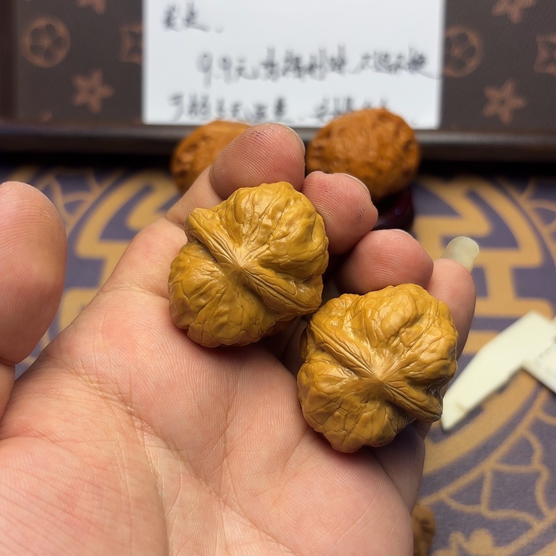 核桃011号 古蝉。  福利。