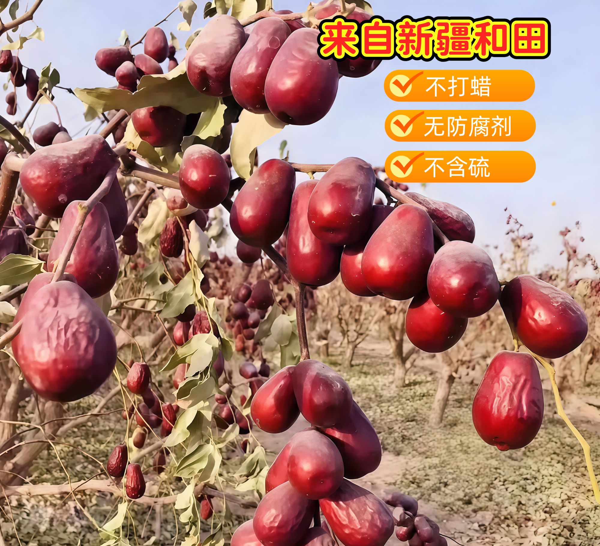 新疆和田大枣带土带灰吊干【新疆产地直发】和田红枣