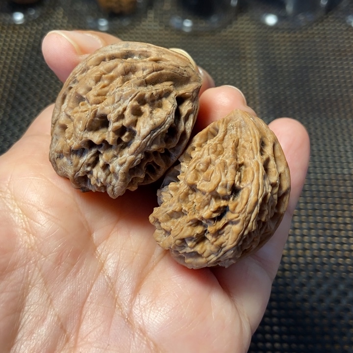 文玩核桃吊坠野牛鹰