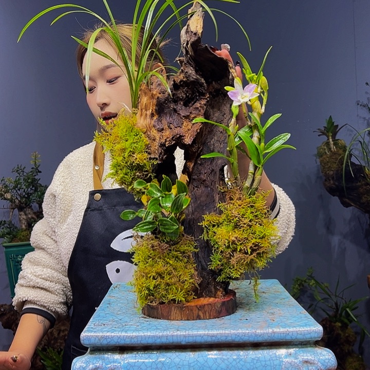 一***清完全开放11111111111