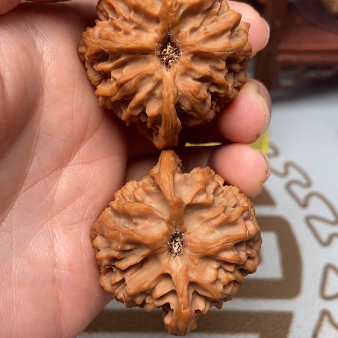 大叶紫檀（黑酸枝木类）桃心苹果圆