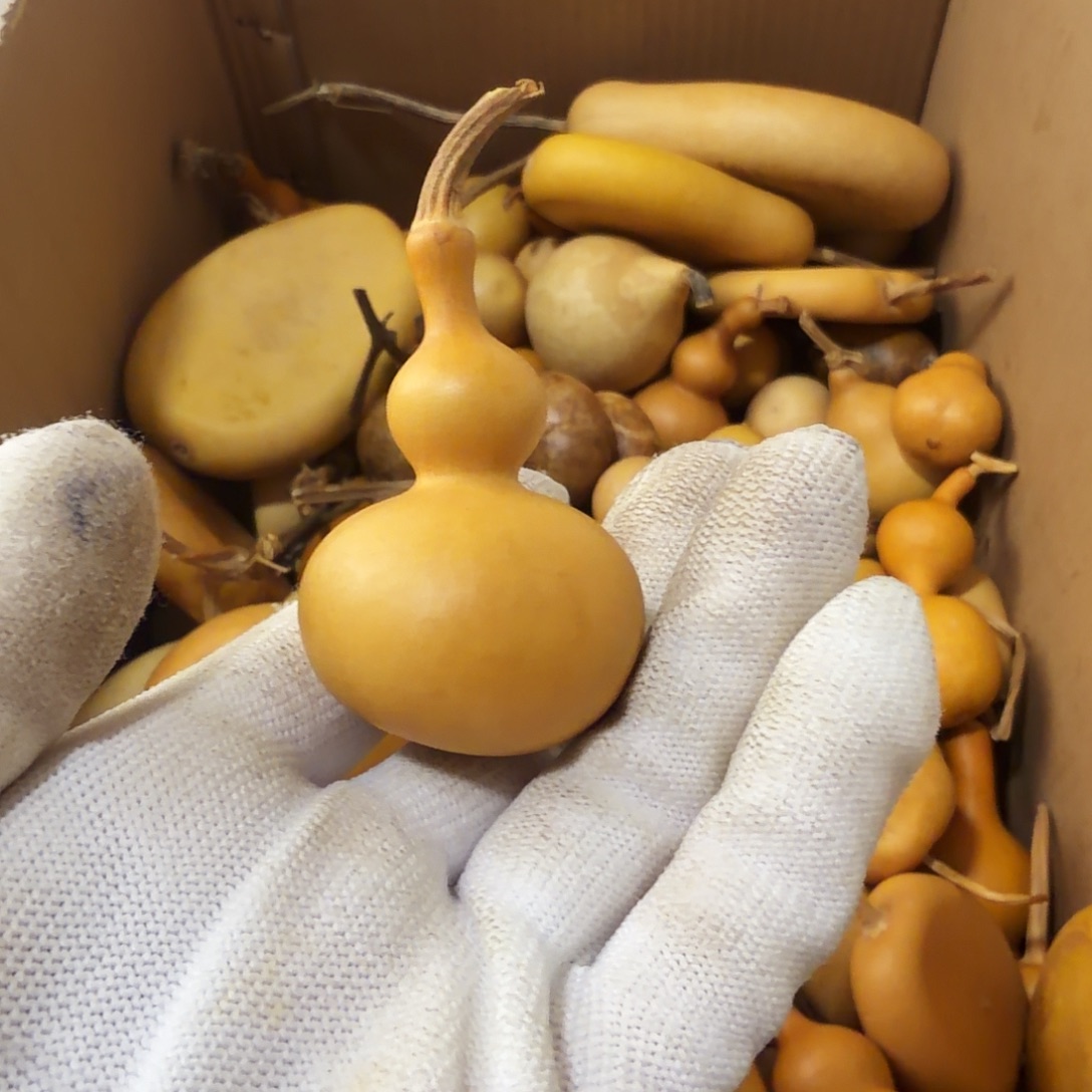 请确认好在下单 28