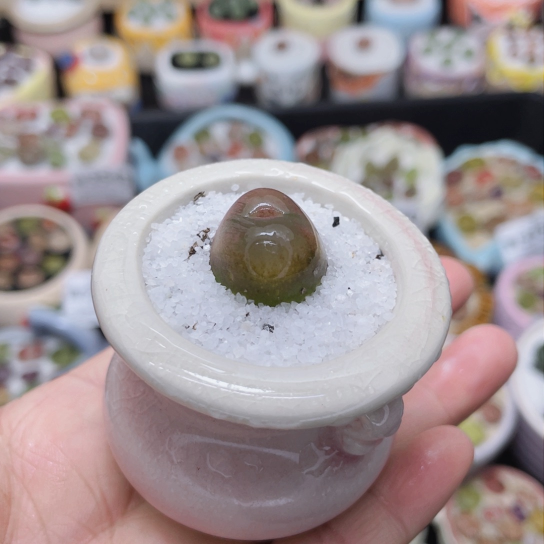 w3571 -零下地区拍保温箱-15支持寄养