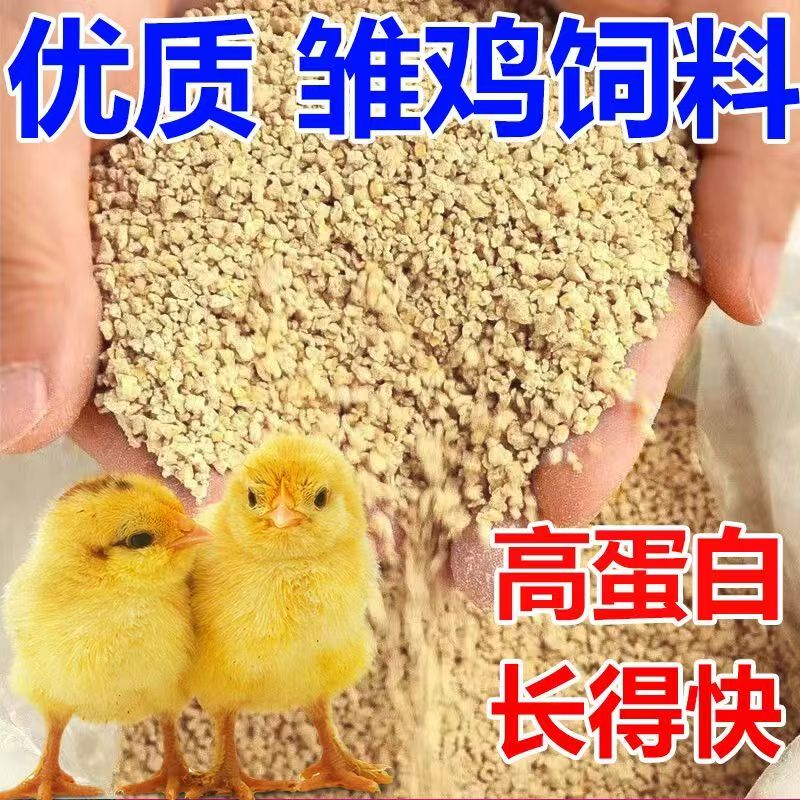 宠物鸡饲料营养价值高好饲养