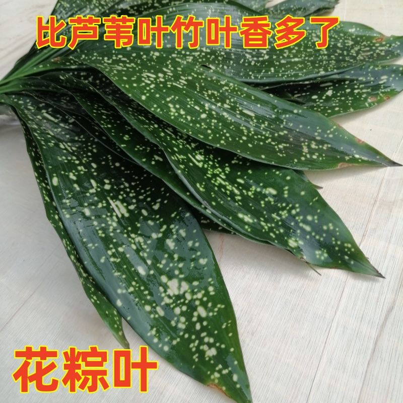 云南特产新鲜花粽叶宽大厚实不易破