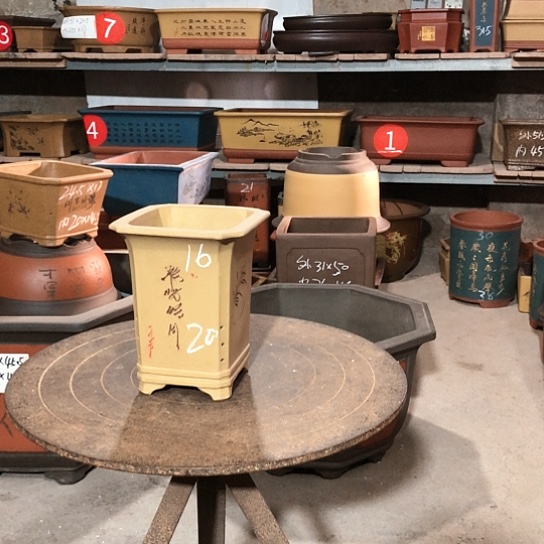 紫砂紫砂花盆包邮