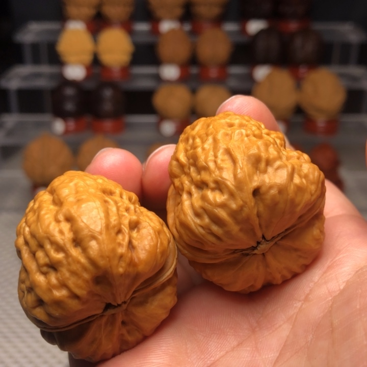把件文玩核桃103卧莲金蟾