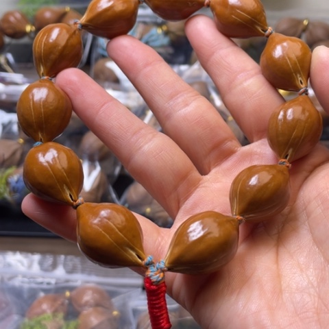 手串/手链橄榄核15.8/11