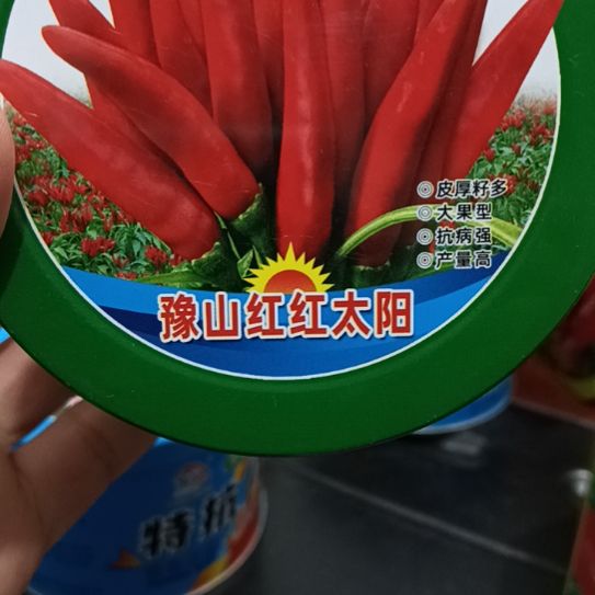 中国大陆河南商丘柘城辣椒大市场807