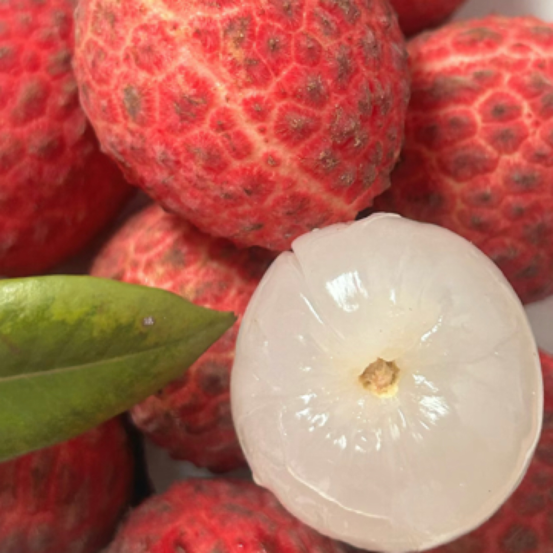 【老沙次日达】广东当季新鲜仙进奉荔枝 净果2斤起荔枝同城送