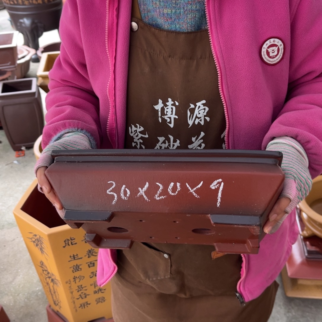 花盆紫砂盆景艺术