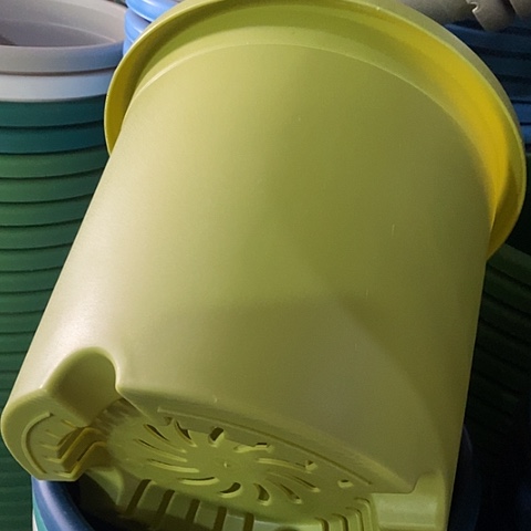 树脂四季5号微瑕果绿无托10个