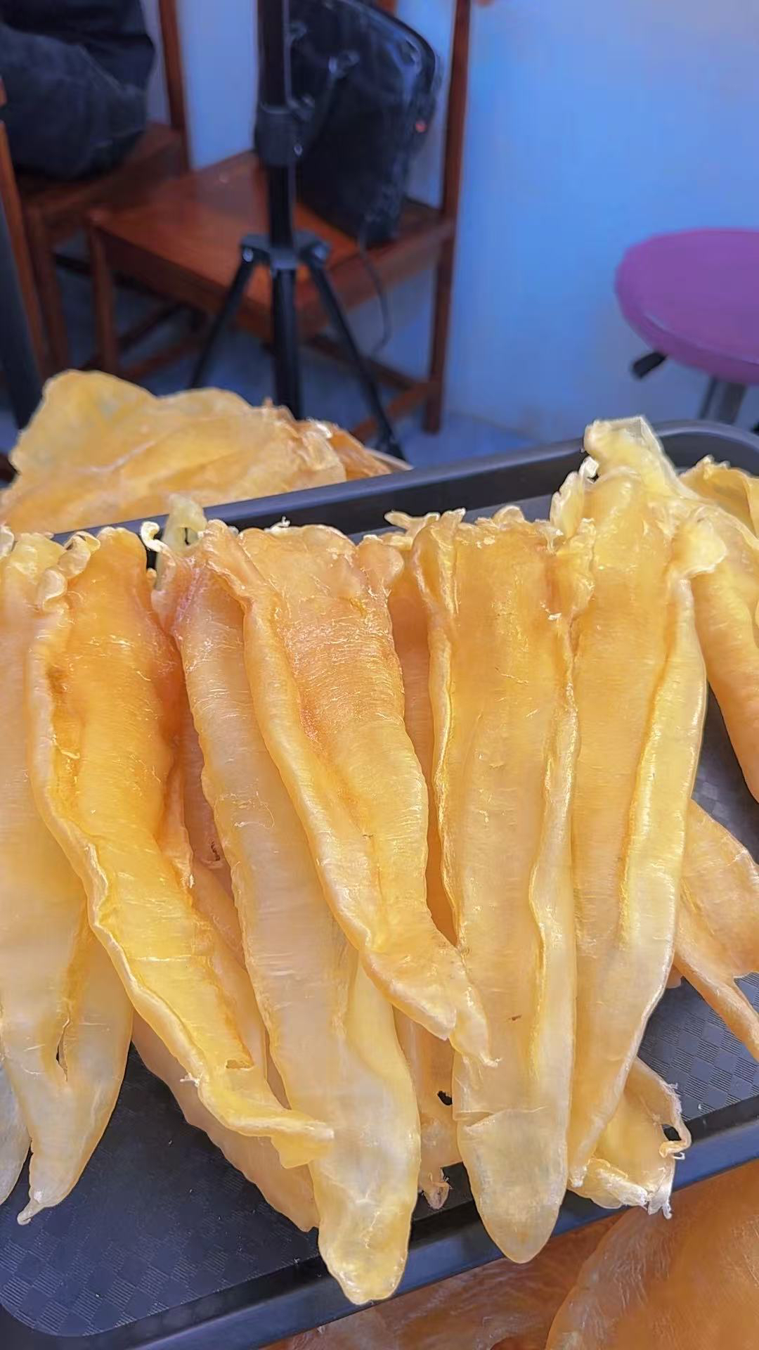 广东巴西北海鱼胶500g