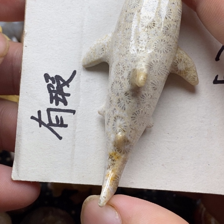 硅化珊瑚（珊瑚玉）未镶嵌颈饰