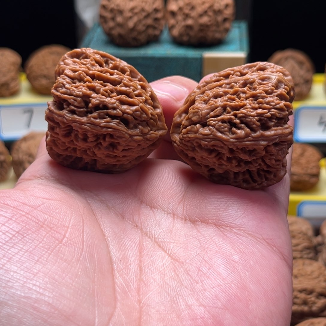 把件文玩核桃天使之翼