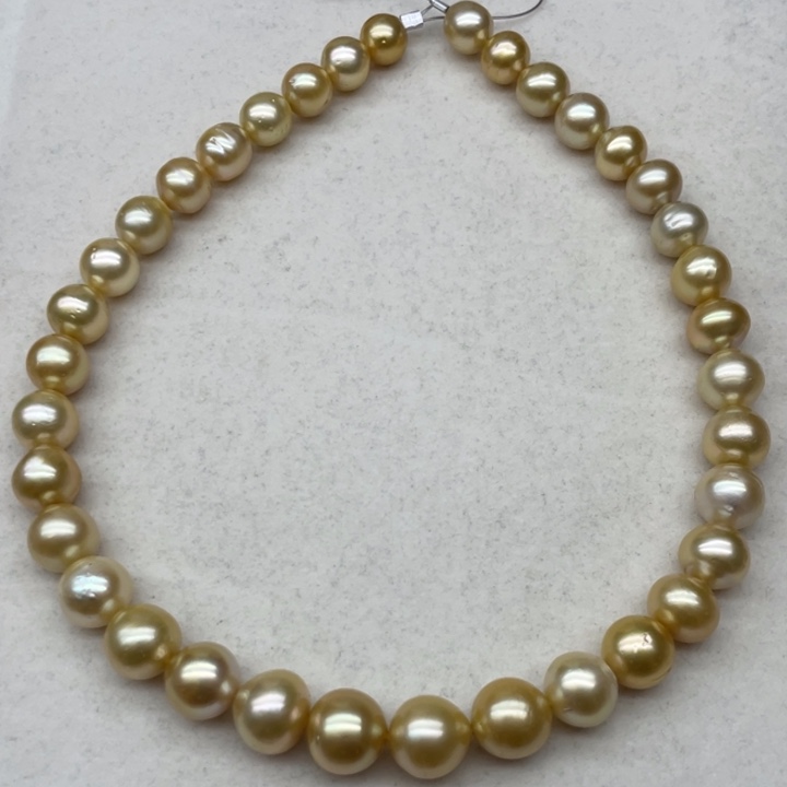 未镶嵌项链海水珍珠南洋金珠9.6-13