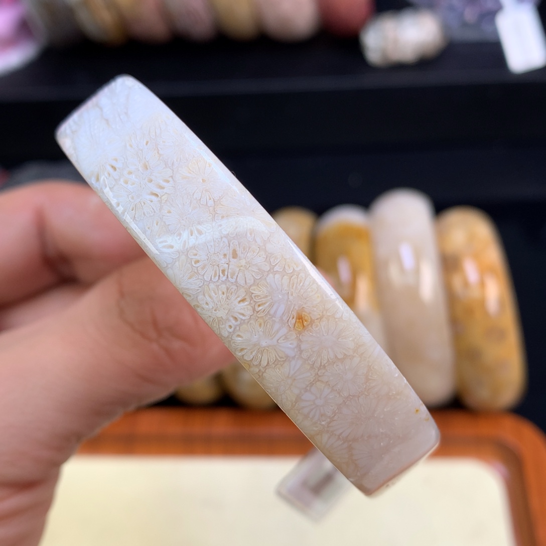 硅化珊瑚（珊瑚玉）未镶嵌颈饰96号骨骼荷叶花55.9圈