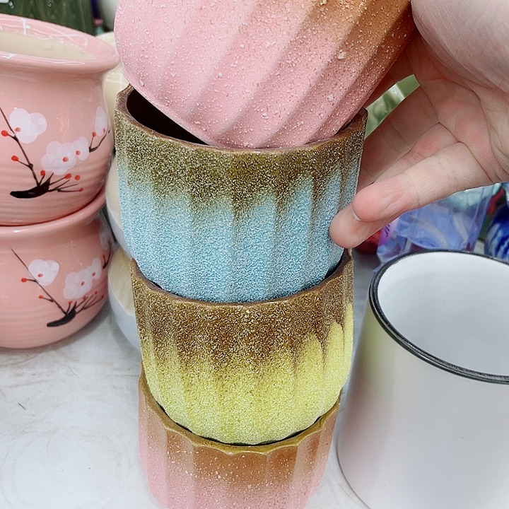 多肉植物陶瓷花盆