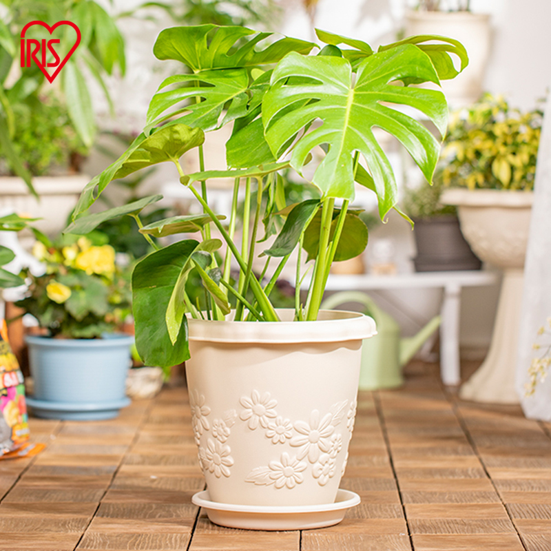 爱丽思长浮雕透气阳台塑料树脂圆形保树脂蕙兰花盆套装（盆+托）