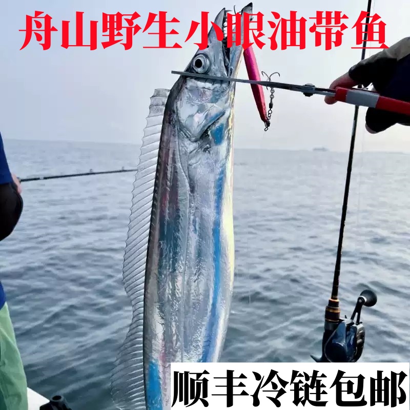【顺丰冷链】正宗舟山特大带鱼礼盒装整条新鲜冷冻小眼野生带鱼B