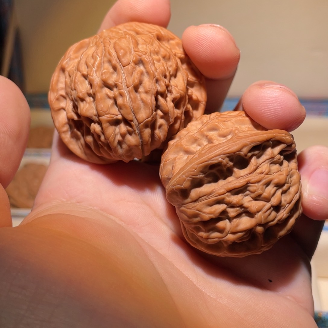 文玩核桃把件55566666655566666