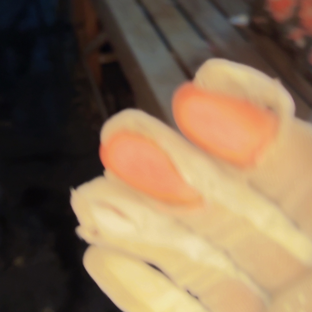 树***宝咯哦哦咯哦呃呃呃啊呃呃呃呃呃呃啊