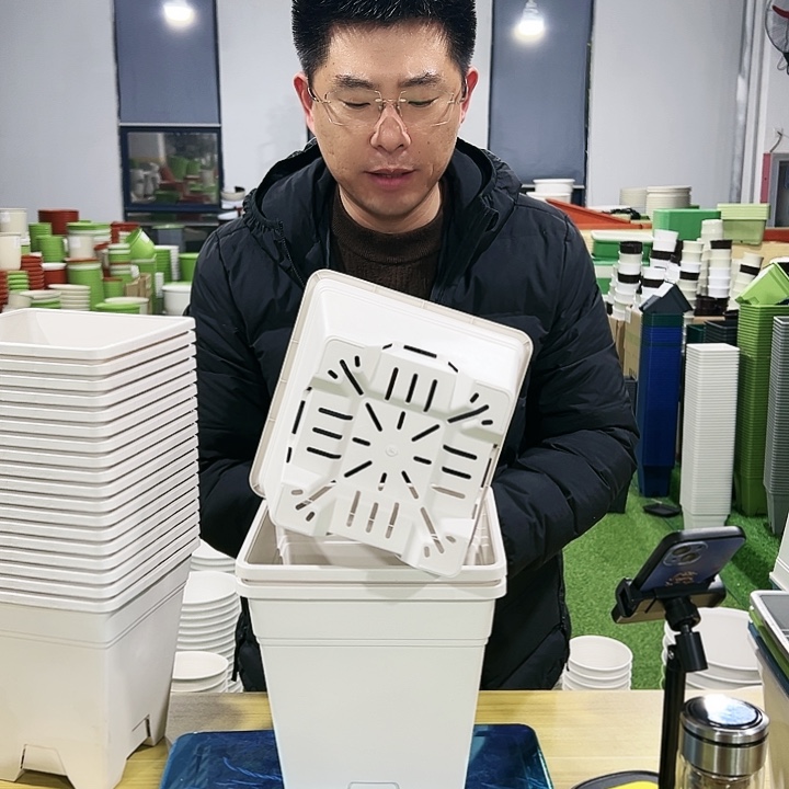 正品方盆口20高22白色6只无托