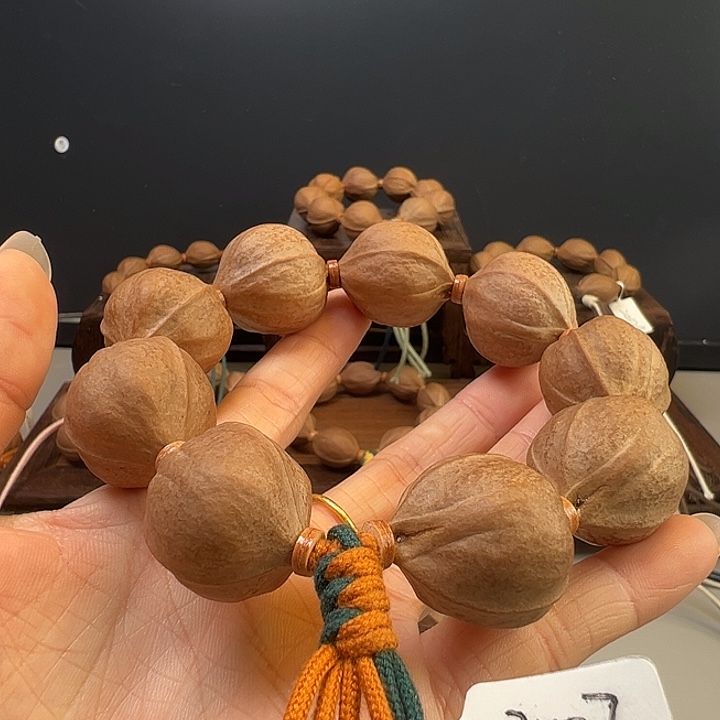 .***者木质梅林铁核素串23.27