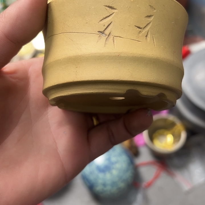 凯***文杂色豆（科檀/科特迪瓦檀木）