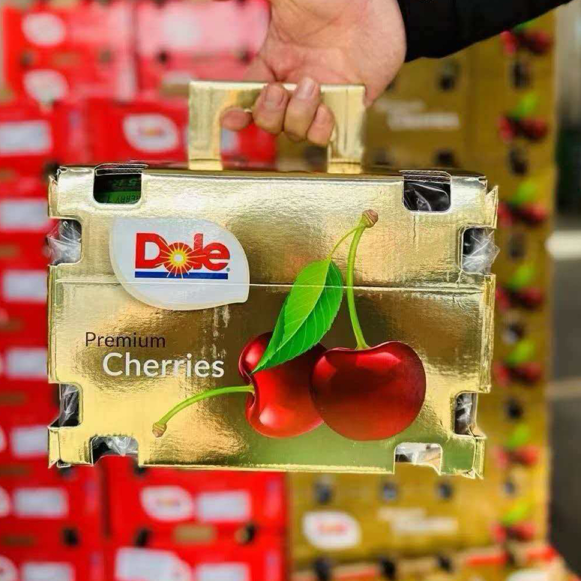 海运智利桑提那车厘子2JD5斤装桑提娜樱桃智利共和国