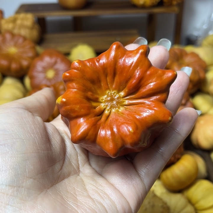 我的墨西哥七彩葫芦