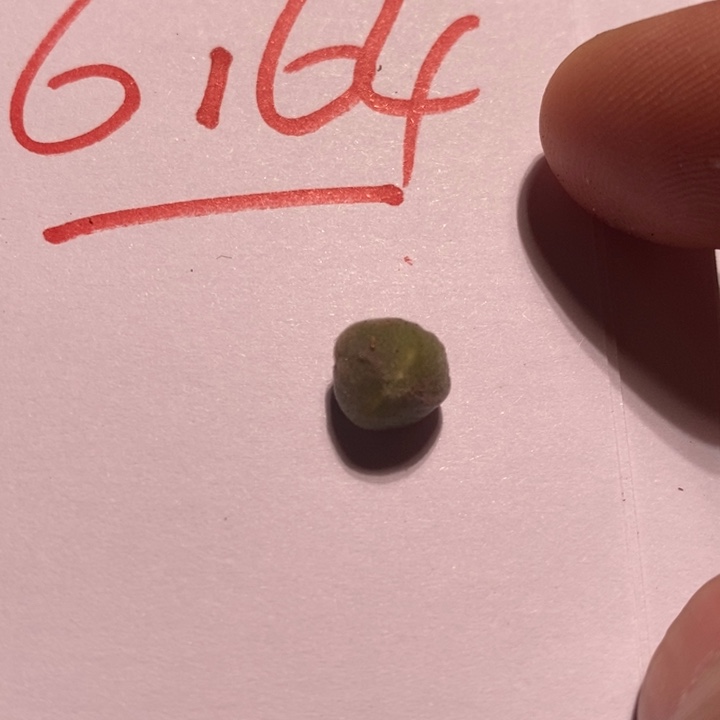 6164一个一个一个