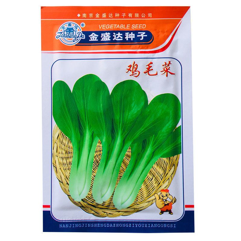 鸡毛菜四月慢矮脚黄青菜种子四季种植高产