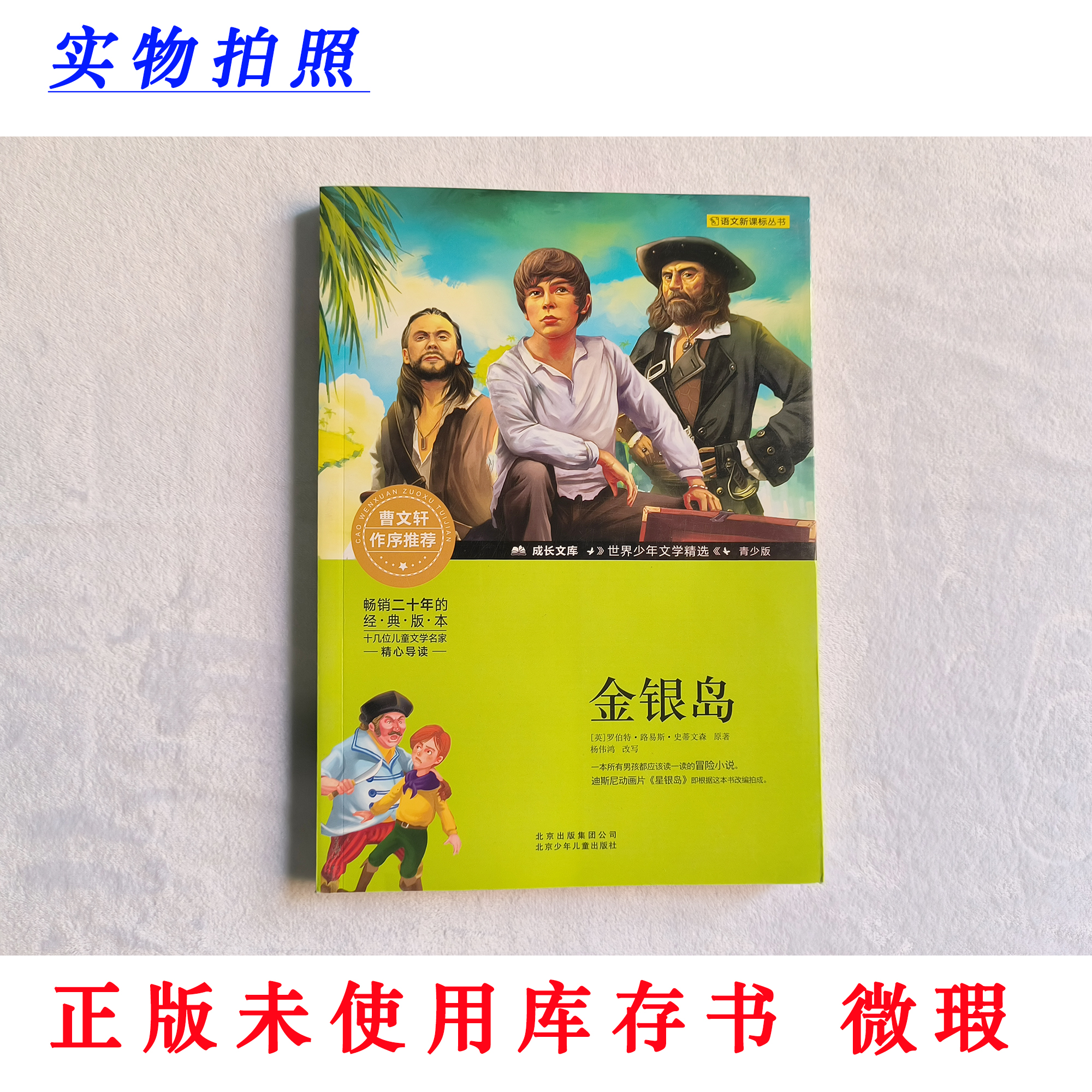 【正版未使用 微瑕】金银岛 成长文库 世界少年文学精选 彩图青少版
