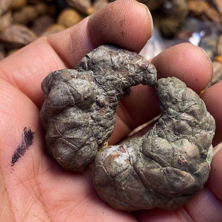 吊坠文玩核桃东北特产140