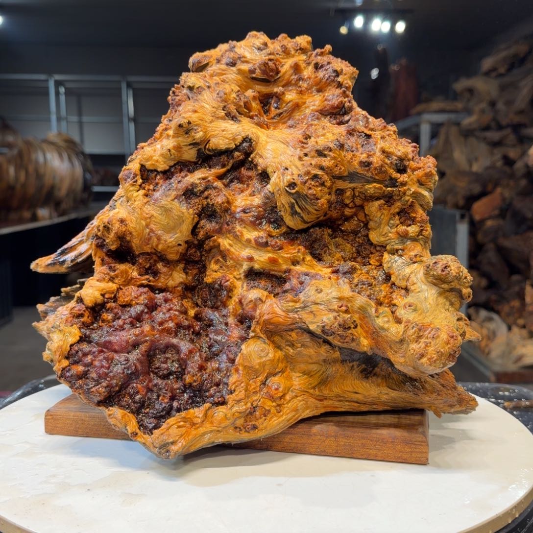 西***雪木王一刀琥珀木摆件37