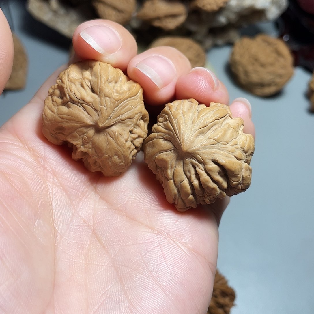 核桃手串/手链精品宫灯飞蛇