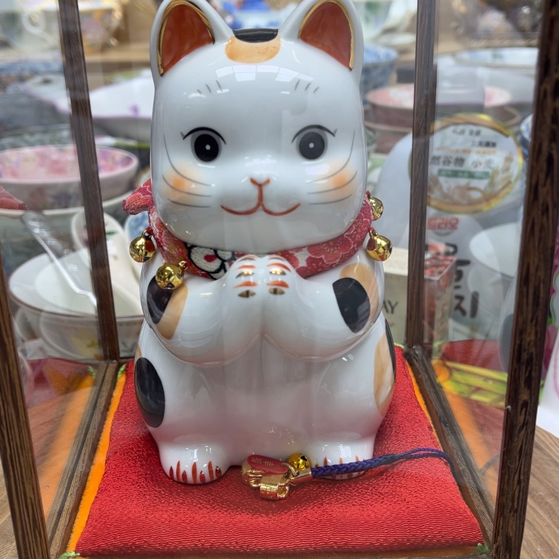 我的姐姐们好可爱